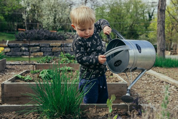 How Does the Introduction of School Gardens Influence Children's Preferences for Vegetables?